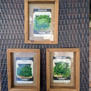 Framed Vintage 1920s Card Seed Co. Packets Set of 3 Burlap Mat Heirloom Cabbages